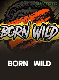Born Wild banner